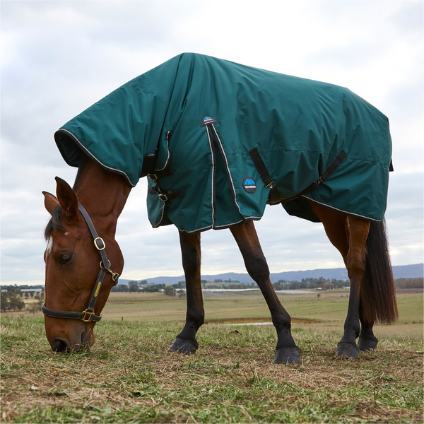 2025 WeatherBeeta Comfitec Classic Turnout Combo 1029069 - Forest Green